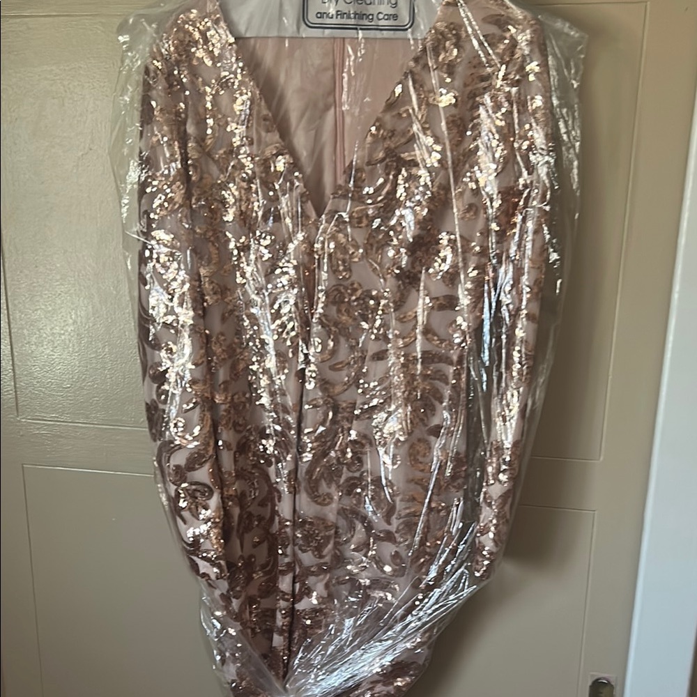 Elegant Sequin Embellished Dress